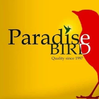 Paradise Bird