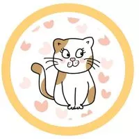 บรรจุภัณฑ์ ราคาส่ง ปลีก
