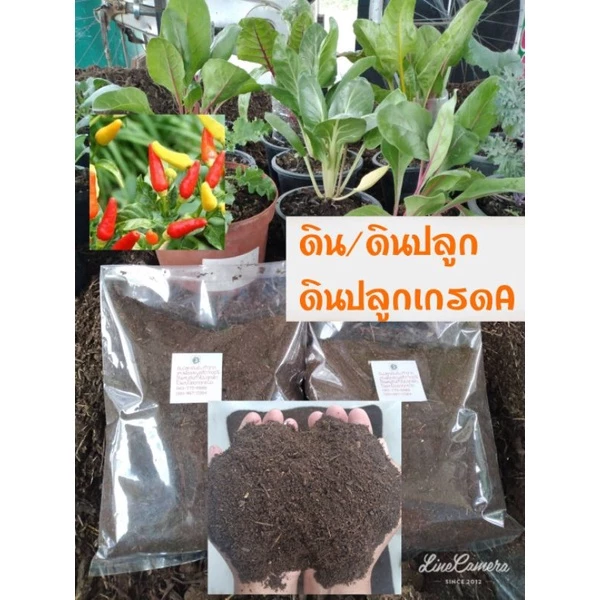 ดินปลูก👍ดินปลูกเกรดA🍎ดินปลูกต้นไม้🥬ดินหัวเชื้อเข้มข้น🍎ดินอินทรีย์ 🌶ดินพร้อมปลูก👉ดินผสม👍ดินปลูกต้นไม้ — ของมงคลหมวดบ้านและฮวงจุ้ย
