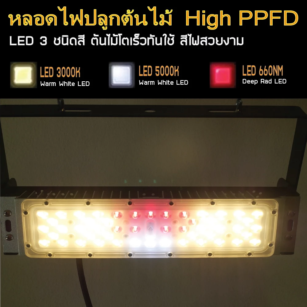 GOD-50W LED Grow Light ไฟปลูกต้นไม้ ต้นไม้โตเร็วทันใช้ ไฟปลูกพืช ไฟไม้ใบ ไฟปลูกมอนเตอร่า ไฟสีเหลืองทอง 3250K LED 660nm — ของมงคลหมวดบ้านและฮวงจุ้ย