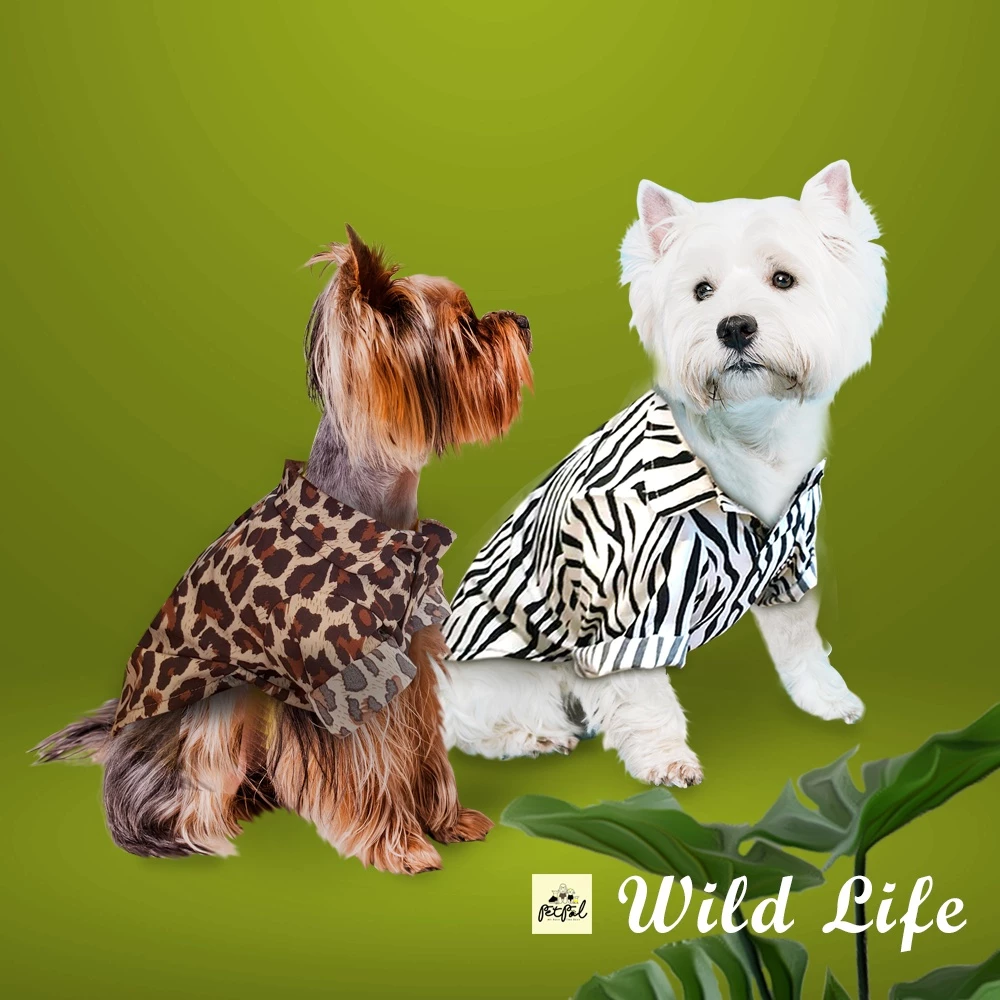 Wild Life Shirt #เสื้อเชิ้ตน้องหมา #เสื้อม้าลาย #เสื้อม้าลายน้องหมา #เสื้อสุนัข #เชิ้ตลายเสือ #หมวกน้องหมา