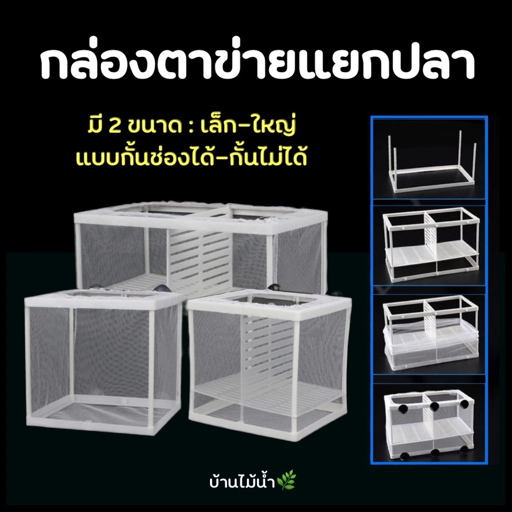 กล่องตาข่าย แยกปลา กล่องแยกปลา ปลาคลอดลูก แยกลูกปลา แยกแม่ปลาที่เพิ่งคลอดลูก แยกลูกกุ้ง แยกปลาป่วย | บ้านไม้น้ำ🌿 — ของมงคลหมวดบ้านและฮวงจุ้ย