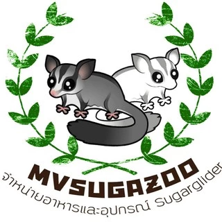mvsugazoo