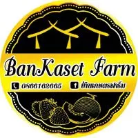 BKF Shop