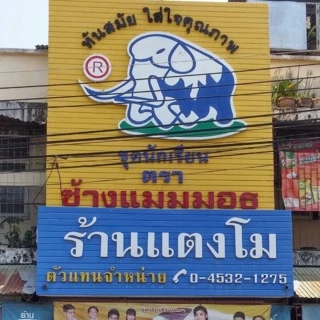 แตงโมขายชุดนักเรียน