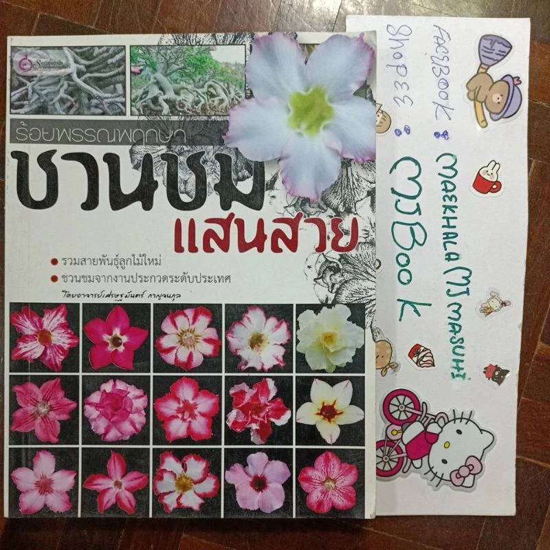 บ้านและสวน : ร้อยพรรณพฤกษา ชวนชมแสนสวย ปลูกต้นชวนชม ชวนชมสีชมพู รวมสายพันธุ์ ชวนชม ประกวดชวนชม ต้นอ่อนชวนชม พันธ์ชวนชม — ของมงคลหมวดบ้านและฮวงจุ้ย