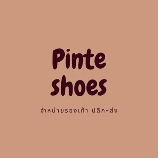 Pinte_shoes