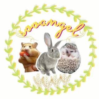 Sooangel