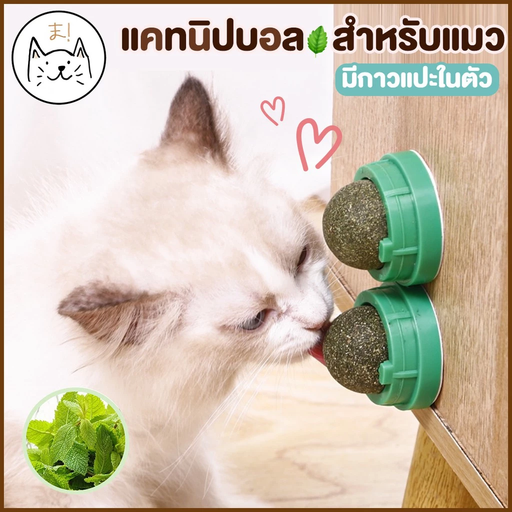 KUMA แคทนิปบอลติดผนังสำหรับแมว