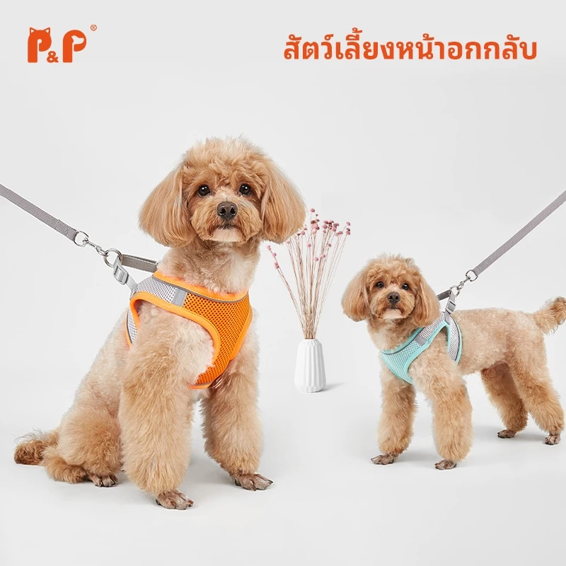 P&P:เสื้อรัดอกสุนัข เสื้อรัดอกแมว สายรัดอก สัตว์เลี้ยง พร้อมสายจูง สะท้อนแสง สวมใส่ง่าย มีหลายสี พร้อมส่ง