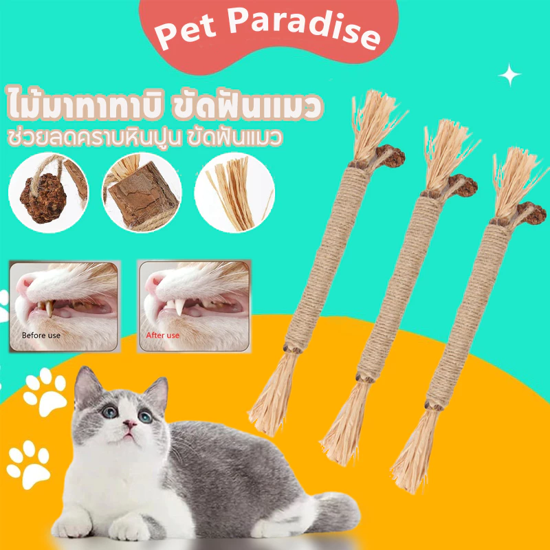 ไม้มาทาทาบิ ขัดฟันแมว 38/22cm ลดคราบหินปูน ขัดฟันแมว กัญชาแมวมาทาบิ ของเล่นแมว พ