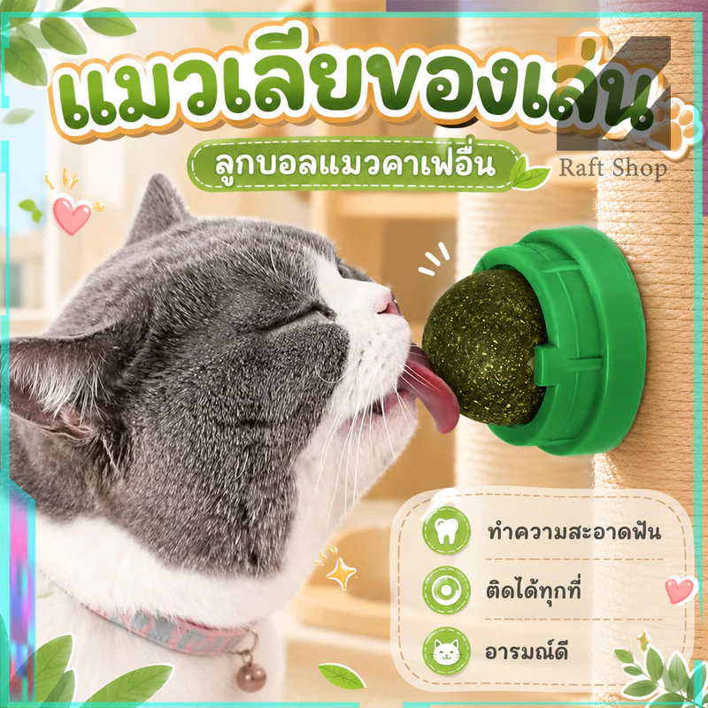 แมวเลีย หญ้าแมว กันชาแมว กัญชาเเมว แคทนิปแมว catnip ball กัชชาแมว กันชาแมวเลีย แคทนิปบอล ติดกำแพง แมว