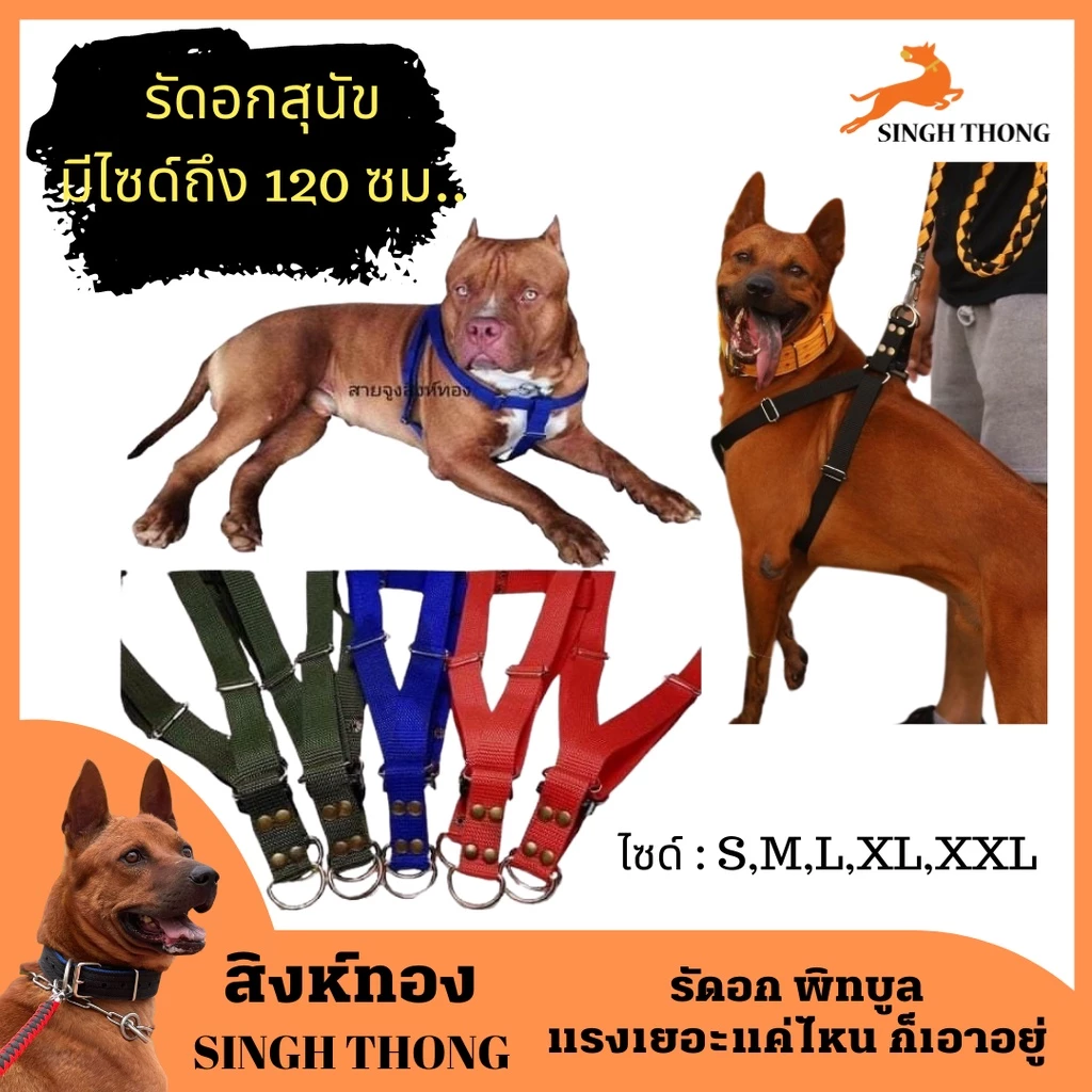 SINGHTHONG รัดอกหมาใหญ่ รัดอกสุนัขใหญ่ สุนัขพันธุ์ใหญ่ หมาพันธุ์ใหญ่ สำหรับสุนัขขนาดใหญ่