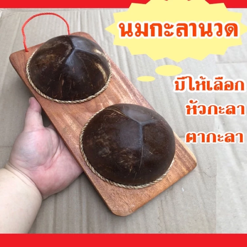 กะลานวดเท้า กะลามะพร้าวนวดเท้า นมสาวกะลานวดหลัง ไม้นวดเท้า ที่นวดเท้ากะลา ไม้นวดฝ่าเท้า เหยียบกะลาแก้รองช้ำ