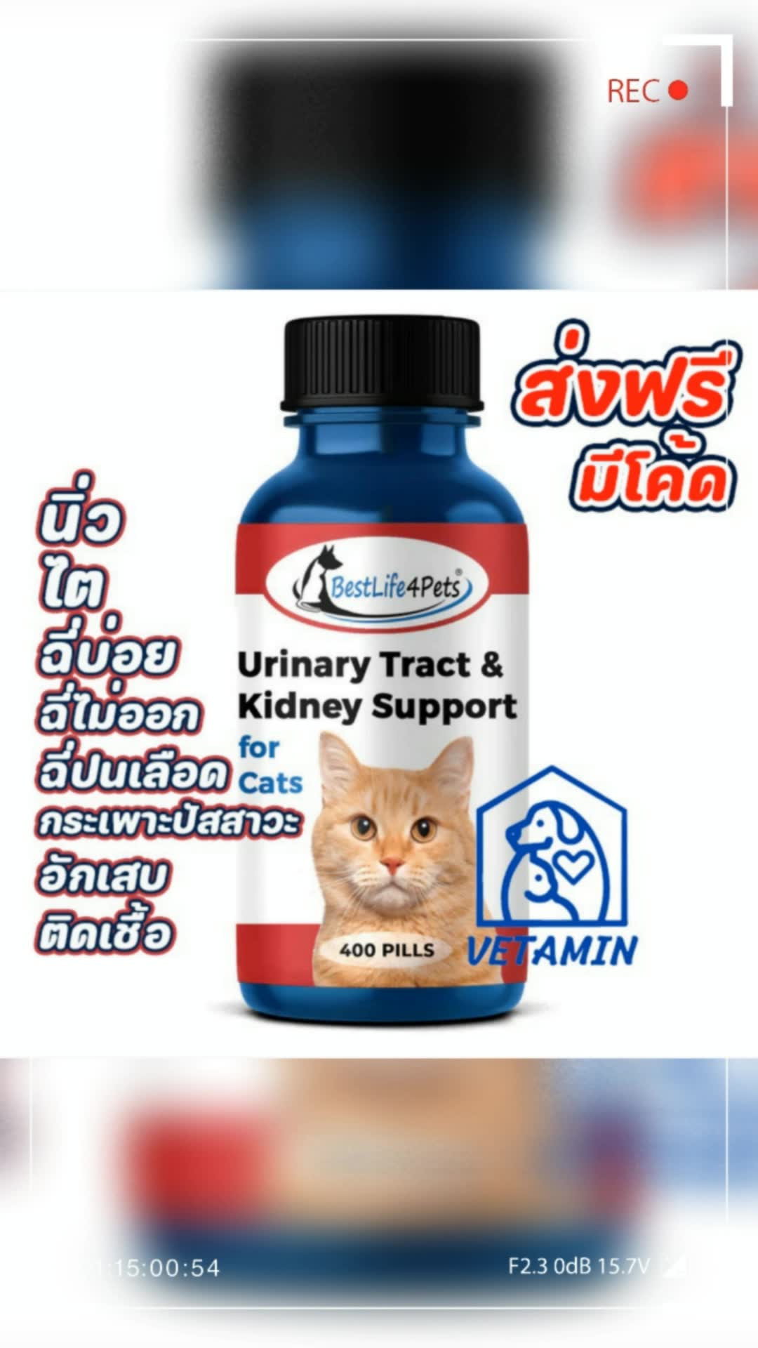 #วิตามินแมว # urinary # urinarytract # kidney # ตับแมว # ปัสสาวะแมว # อาการแมว # แมว # อาการตับ # ตับ