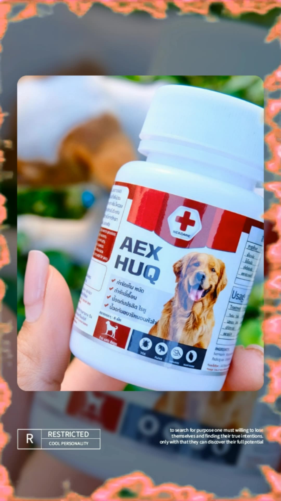 #nexcare #อาหารเสริม #สุนัข #เห็บ #หมัด #อาหารเสริมสุนัข #ช้อปปี้ป้ายยา #ของฮิตแอปส้ม #ของเด็ดแอปส้ม #ShopeeVideoTH