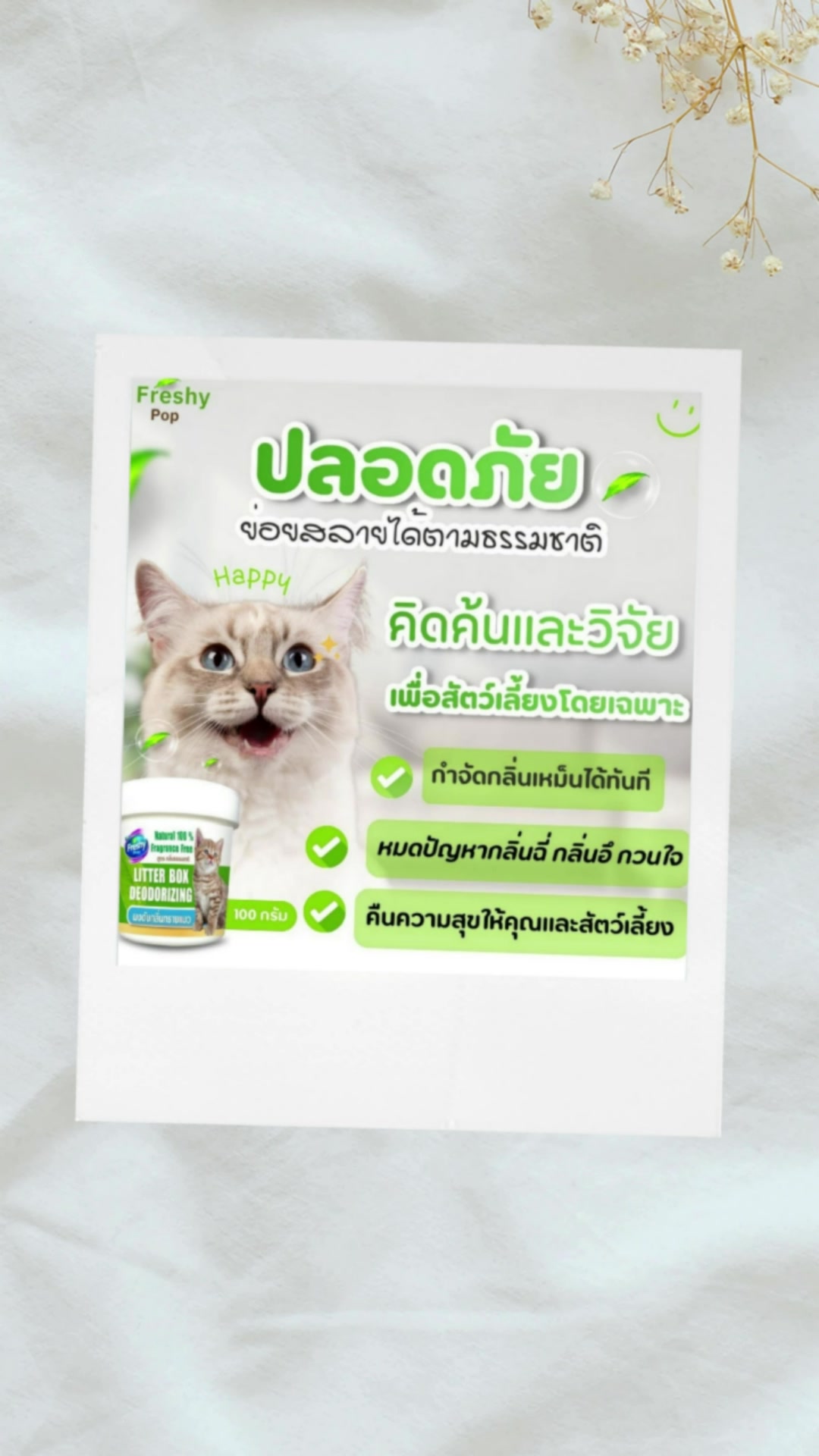 #ดับกลิ่นทรายแมว #ดับกลิ่นฉี่แมว #ดับกลิ่นห้องน้ำ #ดับกลิ่นฉี่ #ดับกลิ่น