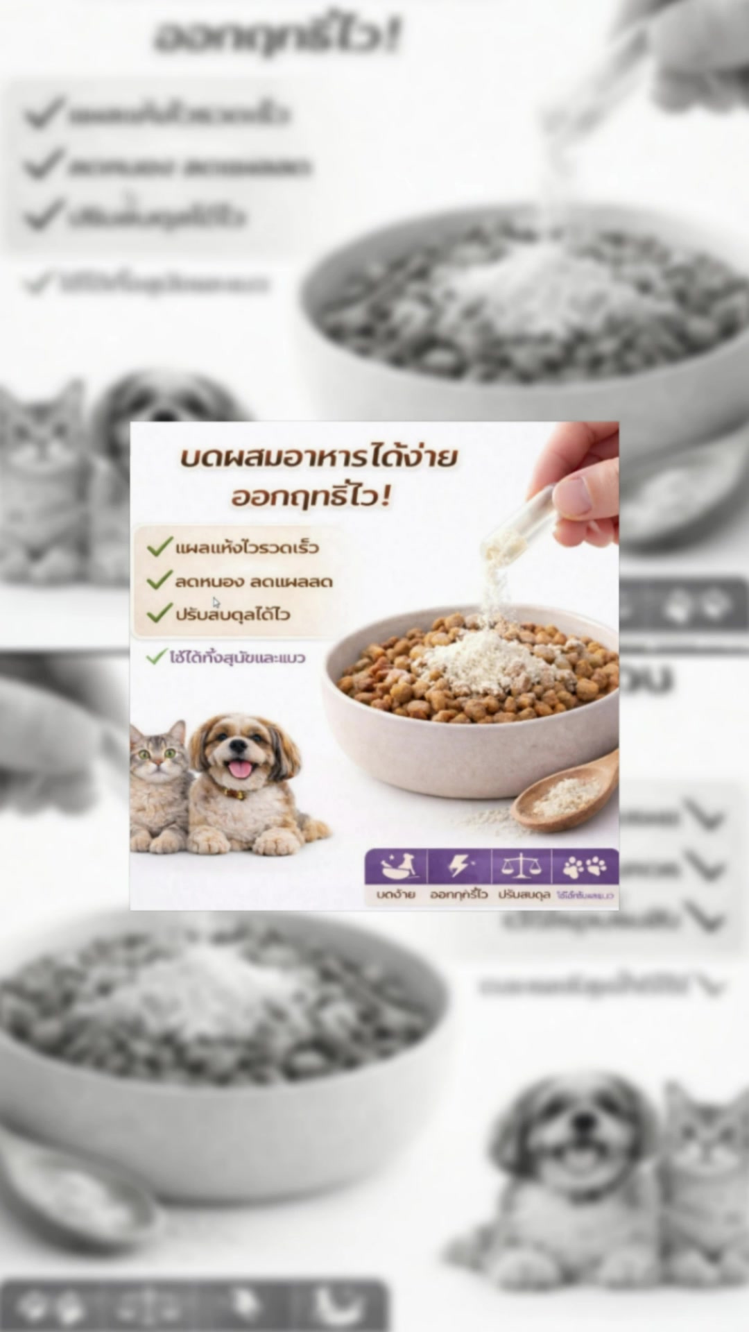 #aexhuq #แผลแห้งไว #สุนัข #แมว #อาหารเสริม #ช้อปปี้ป้ายยา #ของฮิตแอปส้ม #ร้านเด็ดแอปส้ม #ของปังดังในแอปส้ม #ShopeeVideoTH
