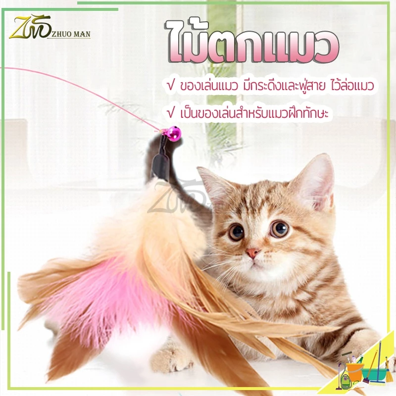 ไม้ตกแมว ของเล่นแมว สายยาว 66 ซม. ไม้ล่อแมว รุ่นปอมปอม มีกระดิ่ง/ ไม้แมว ขอเล่นแมว ไม้แมว ยาวสุด ไม้ตกแมวขนนก