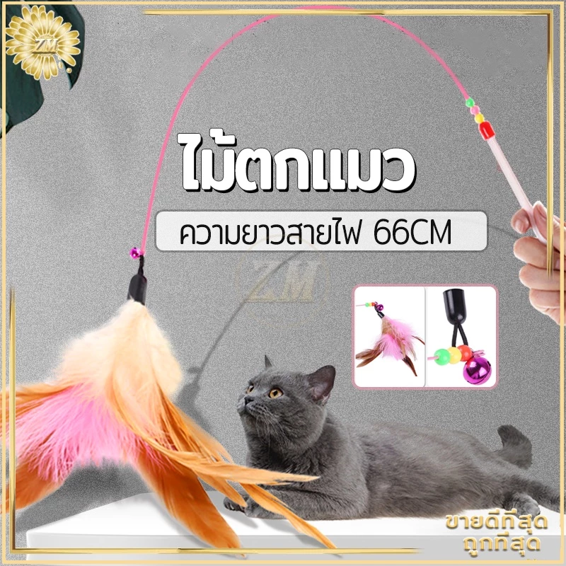 ไม้ล่อแมว ไม้ตกแมว ของเล่นแมว สายยาว 66 ซม. ไม้ตบแมว รุ่นปอมปอม มีกระดิ่ง/ ไม้แมว ขอเล่นแมว ไม้แมว ยาวสุด ไม้ตกแมวขนนก
