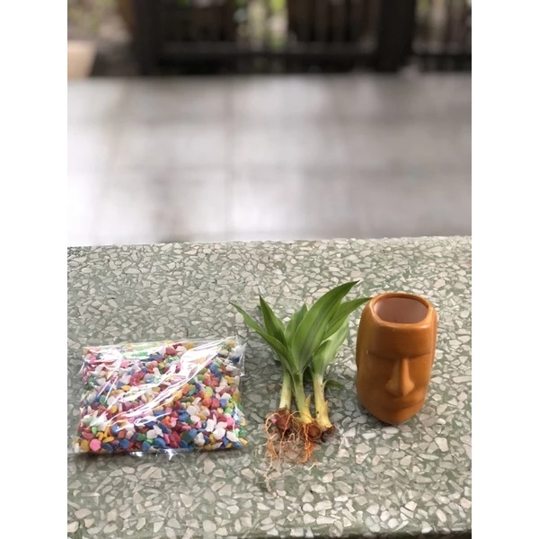 ต้นไผ่กวนอิมเงินกวนอิมทอง — ของมงคลหมวดการเงินและโชคลาภ