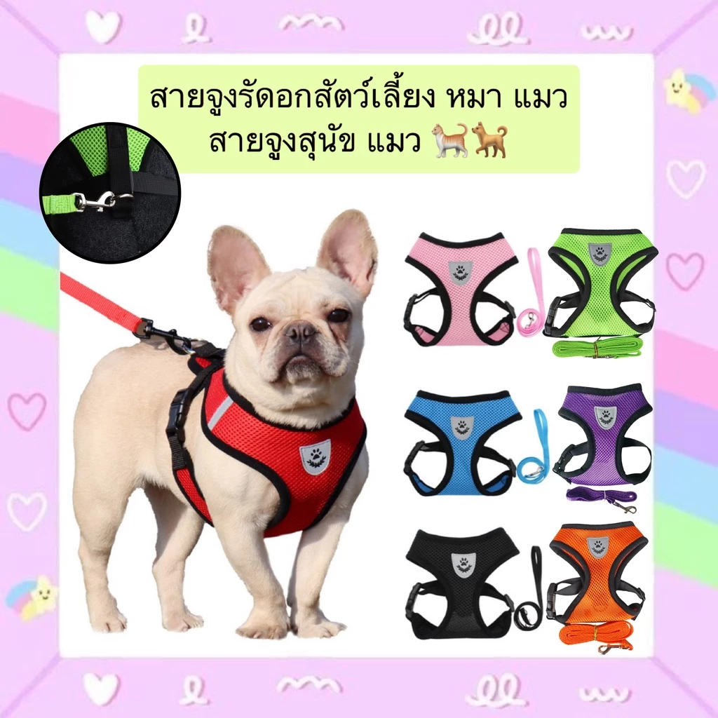 AL-439 สายจูงรัดอกสัตว์เลี้ยง หมา แมว สายจูงสุนัข แมว เสื้อรัดอก สายจูง หมา แมว ราคาถูก พร้อมส่ง🐕🐈