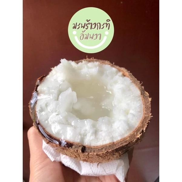 ✅ พร้อมส่ง❗️ราคาดีที่สุด ถูกมาก❗️มะพร้าวกะทิลูก🌴 มะพร้าวกะทิเนื้อฟู มะพร้าวกะทิน้ำข้น มะพร้าวกะทิพร้อมทาน
