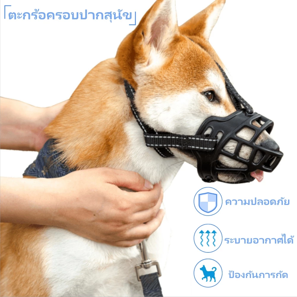 【5-55กก】ตระกร้อครอบปากสุนัข ที่ครอบปากหมา ครอบปากสุนัข ตะกร้อครอบปาก ตะกร้อครอบปากหมา ตะกร้อปากสุนัข ตะกร้อสุนัข ที่ครอบ