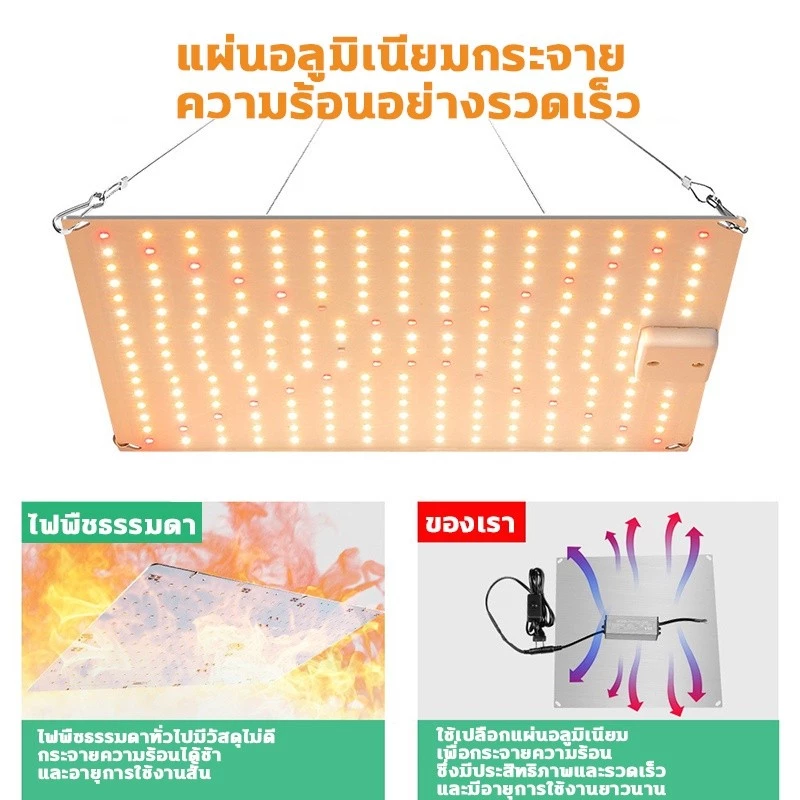 ไฟฟรี ไฟปลูกต้นไม้ LED 81 169 ไฟปลูกพืช เต็มสเปกตรัม แสงอาทิตย์ ไฟปลุกต้นไม้ ไฟช่วยต้นไม้ตัวเร็ว มีสวิตช์ปิดเปิด — ของมงคลหมวดบ้านและฮวงจุ้ย