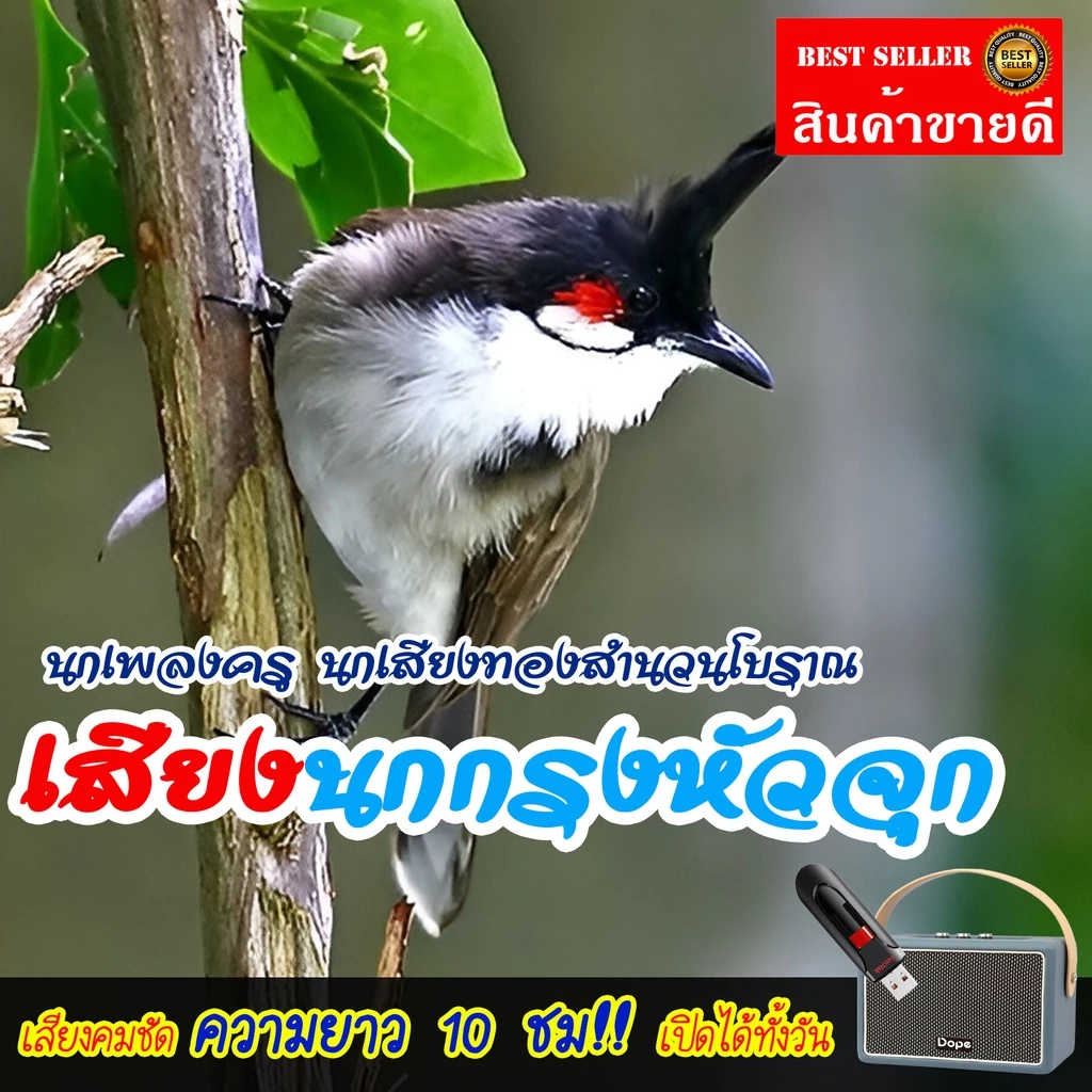 เสียงนกกรงหัวจุก นกเพลงครู นกเสียงทองสำนวนโบราณ แฟลชไดร์ฟ USB เสียงดังฟังชัด เปิดให้นกคึก เสียงนกแท้ เสียงดังฟังชัด — ของมงคลหมวดพิธีและความเชื่อ