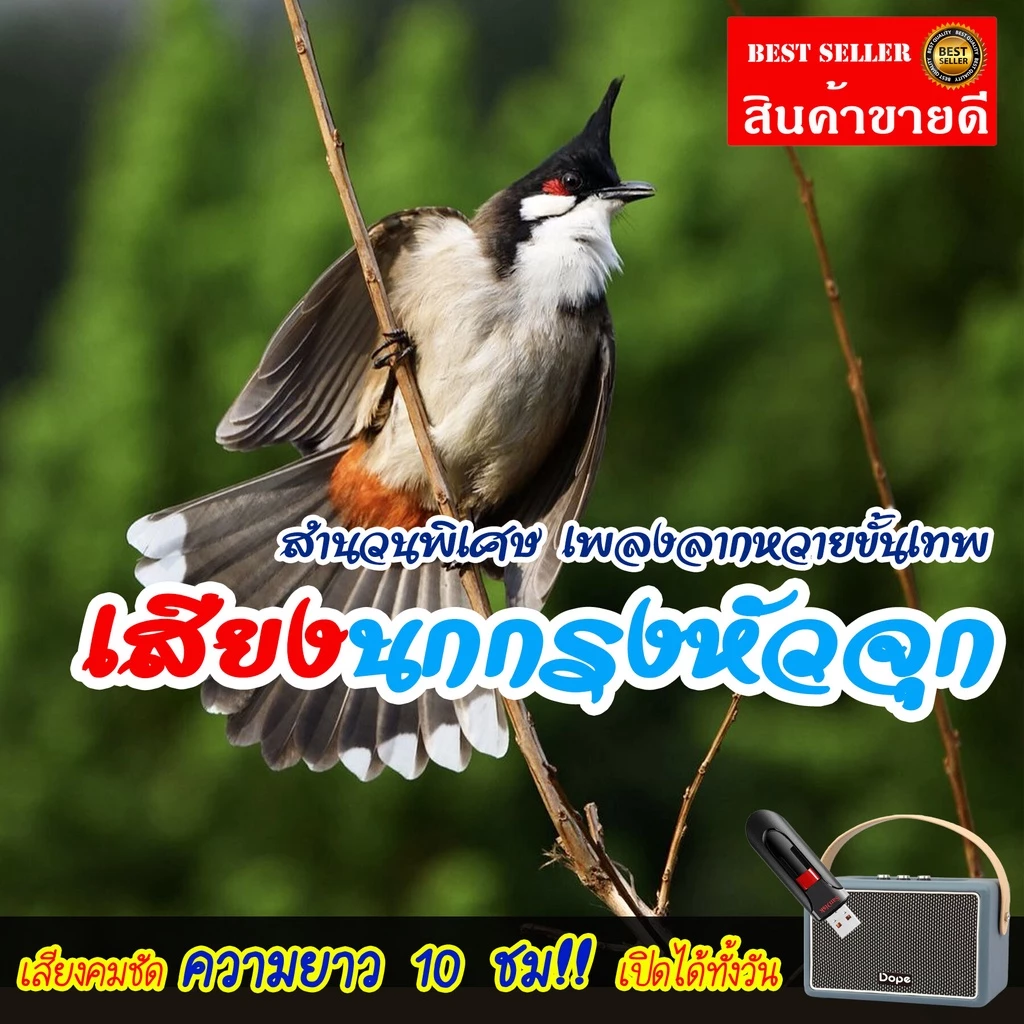 เสียงนกกรงหัวจุก นกเสียงทอง สำนวนพิเศษเพลงลากหวายขั้นเทพ! แฟลชไดร์ฟ USB เสียงดังฟังชัด เสียงนกแท้ เสียงดังฟังชัด — ของมงคลหมวดพิธีและความเชื่อ