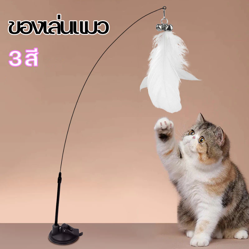 ✨😻Cat toy ไม้แมว ไม่ล่อแมว ไม้ตกแมว ไม้ตกแมวแบบสปริง ขอเล่นแมว ไม้แหย่แมว