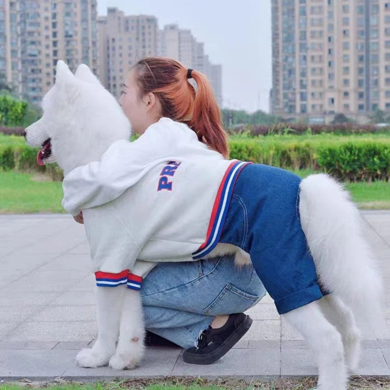 🐕‍🦺Kawaii🐈 🐾 เสื้อผ้าสุนัข ขนาดใหญ่ สี่ขา ผ้ายีน แบบหนา สีทอง แฟชั่นฤดูหนาว สําหรับสุนัข ชุดคริสต์มาสหมา ชุดไทยน้องหมา ชุดไทยหมา