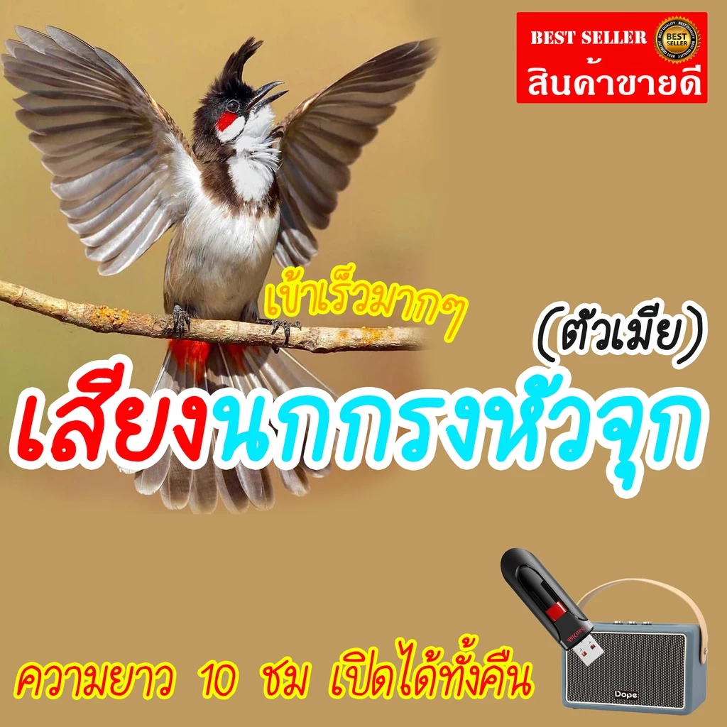 เสียงต่อนกกรงหัวจุก (เสียงตัวเมีย) แฟลชไดร์ฟ USB เสียงต่อนกกรงหัวจุก เสียงดังฟังชัด เสียงนกแท้ เสียงดังฟังชัด — ของมงคลหมวดพิธีและความเชื่อ