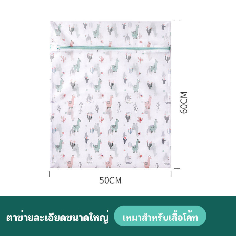 50×60cm