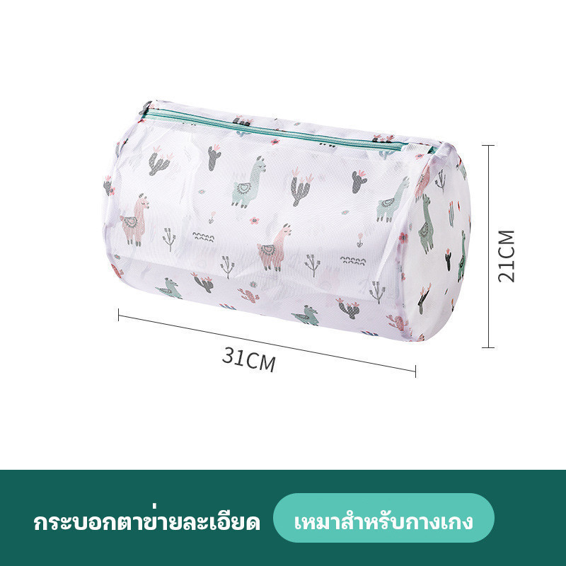 31×21cm