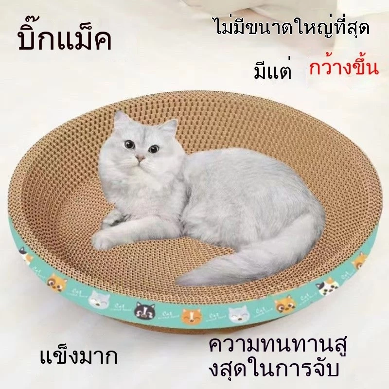 กระดานลับเล็บแมว กรงเล็บบด ครอกแมว ข้อเสนอพิเศษ การกวาดล้าง กระดานกรงเล็บแมว รูปไข่ กระดานลับเล็บแมว อ่างลับเล็บแมว เอ็กซ์ตร้า