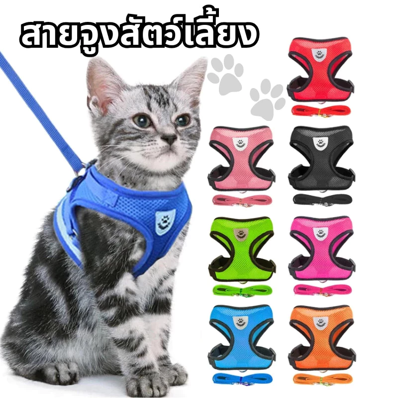 🐱สายจูงแมว สายจูงสุนัข เชือกจูงแมว สายจูงหมา สายจุงแมว ที่จูงแมว เหมาะสำหรับแมว สุนัข กระต่ายตัวเล็ก