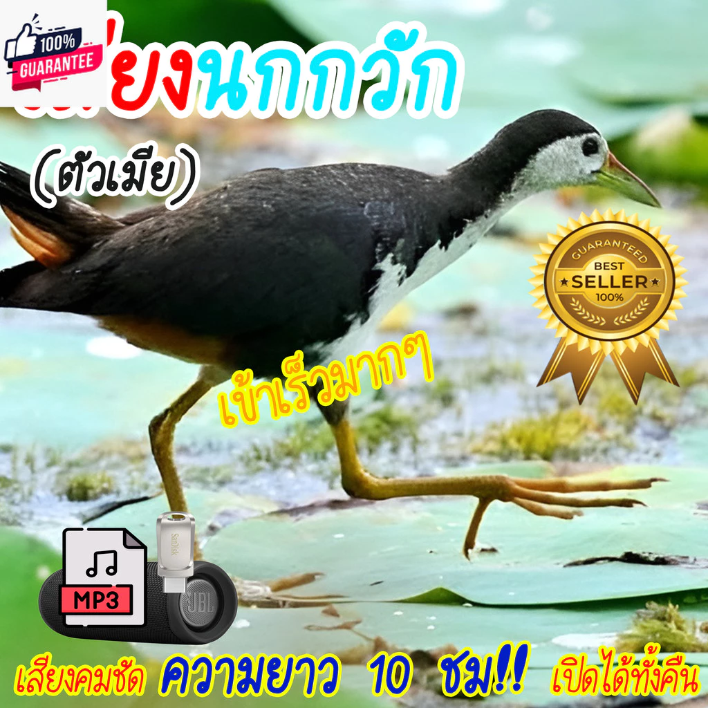 Mini Shop เสียงต่อนกกวัก แฟลชไดร์ฟ USB เสียงต่อนกกวัก เสียงดังฟังชัด เสียงนกแท้ เสียงดังฟังชัด เข้าง่ายติดง่าย — ของมงคลหมวดพิธีและความเชื่อ