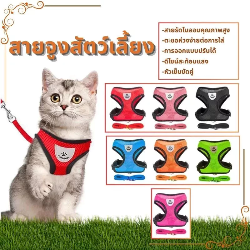 เพิ่มแล้ว 😻สายจูงแมว สายจูงสุนัข เชือกจูงแมว สายจูงหมา สายจุงแมว ที่จูงแมว เหมาะสำหรับแมว สุนัข กระต่ายตัวเล็ก