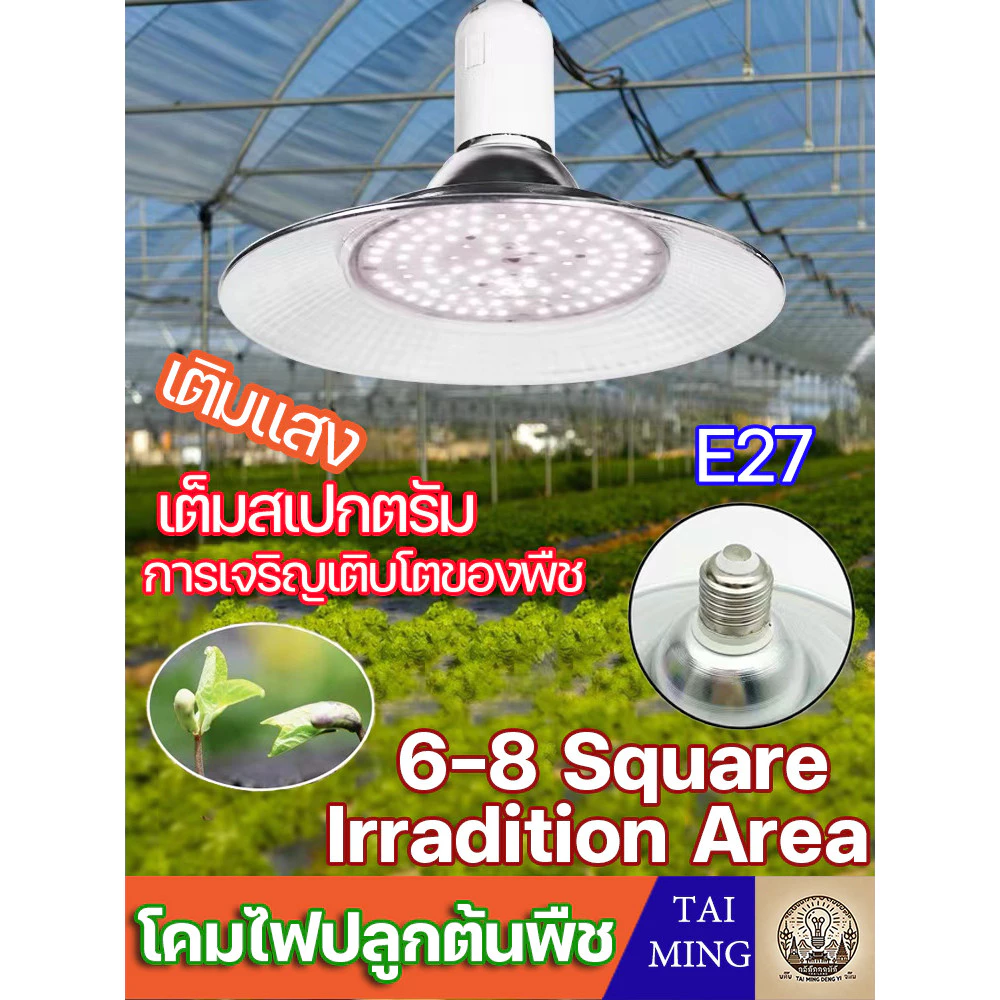 โคมไฟปลูกต้นพืช โคมไฟไฟปลูกต้นไม้ ไฟปลูกพืช 200W ไฟปลูกจานบิน ขั้วเกลียว E27 ไฟช่วยต้นไม้โตเร็ว แสงธรรมชาติ แสงขาว(056) — ของมงคลหมวดบ้านและฮวงจุ้ย