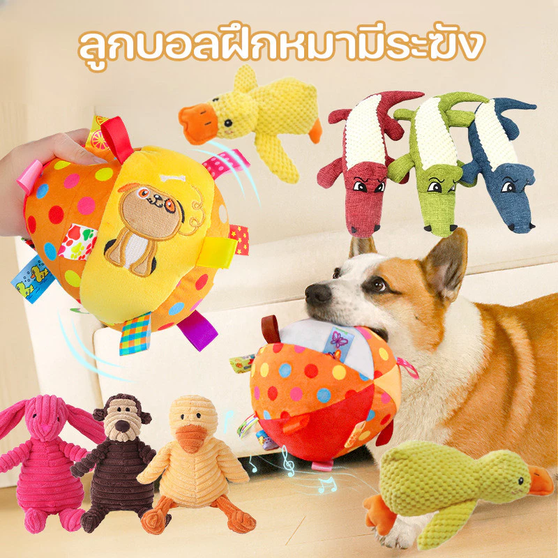 บอลหมา ลูกบอลฝึกหมา มีระฆัง สีสันน่ารัก ทำจากวัสดุทนทาน ของเล่นหมา ของเล่นสัตว์เลี้ยง