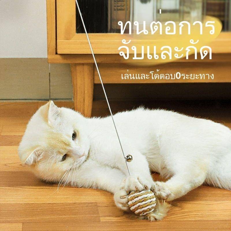 แมว แมว ความเบื่อหน่ายที่มีความสุขด้วยตนเองบรรเทาเมาส์น้อยกับระฆังแมวกัดทนแมวแมวผลิตภัณฑ์บริโภคทางกายภาพ