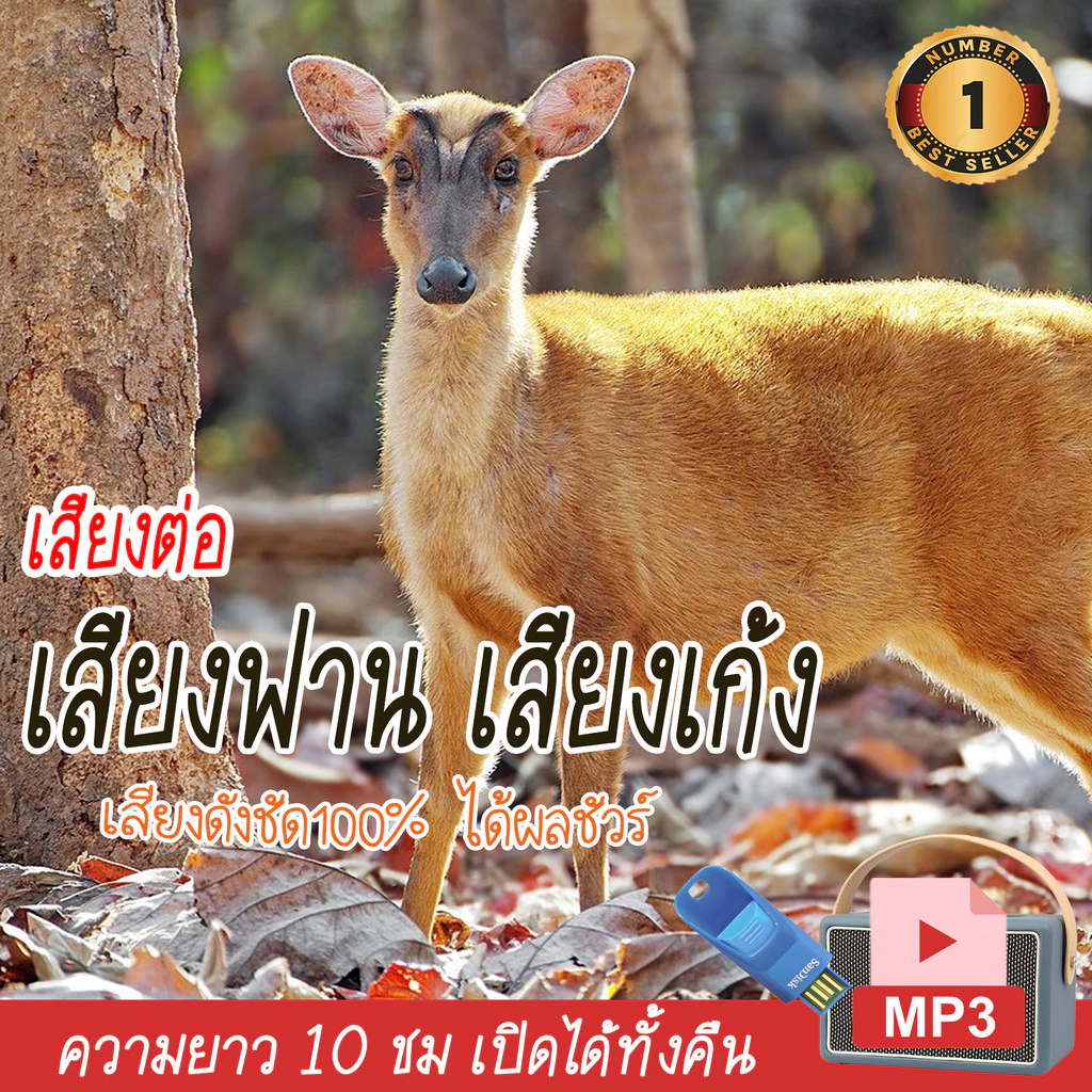 เสียงต่อ เสียงฟาน เสียงเก้ง มาทั้งฝูง ใหม่ล่าสุด แฟลชไดร์ฟ USB mp3 เสียงดังฟังชัด เปิดปุ๊บมาปั๊บ เสียงดังฟังชัด — ของมงคลหมวดพิธีและความเชื่อ