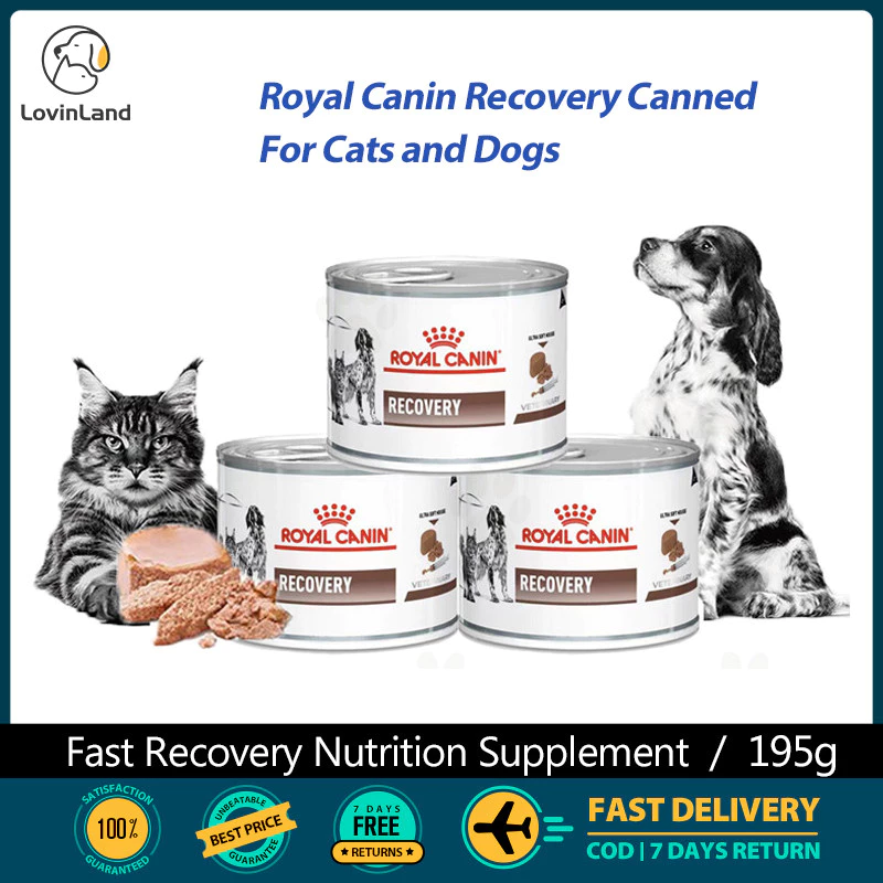 Royal Canin Cat&Dog อาหารเปียก Recovery Nutritional กระป๋องหลังผ่าตัด Rehabilitation Dog Mousse กระป๋อง 195g 1 ชิ้น/3 ชิ้น