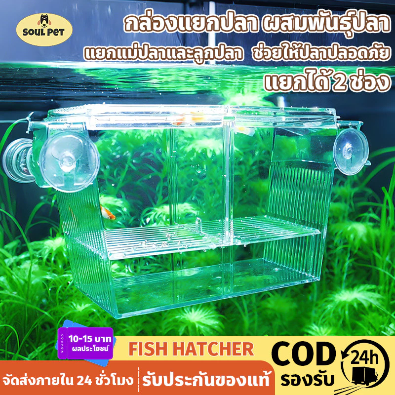 COD กล่องแยกปลา ผสมพันธุ์ปลา กล่องฟักปลา แยกแม่ปลาและลูกปลา กักโรคปลา สำหรับเลี้ยงหรือแยกปลา — ของมงคลหมวดบ้านและฮวงจุ้ย