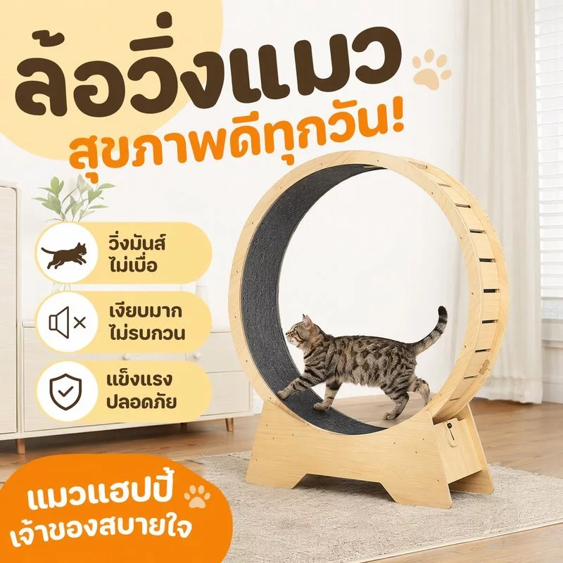 ลู่วิ่งแมว วงล้อวิ่งแมว ของเล่นแมว ออกกำลังกายแมว ลดน้ำหนักแมว ไม้เงียบ ทนเล็บ แมวทุกวัย