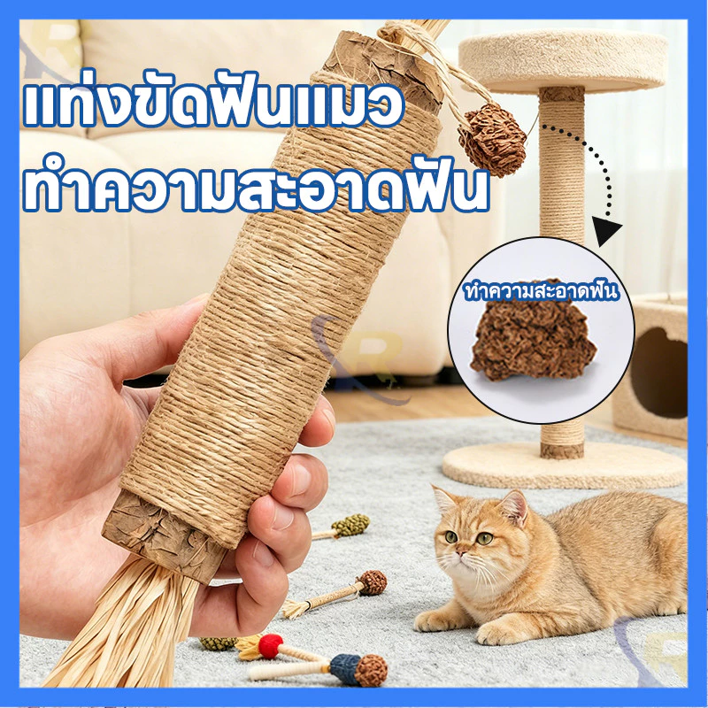 ⚡ของเล่นเคี้ยวแมว ไม้แมวขัดฟัน พันเชือกแน่น ใช้ได้นาน ลดกลิ่นปาก แมวชอบ ไม้เคี้ยวแมวอัปเกรด 38 ซม. ไม้แทะแมวธรรมชาติ