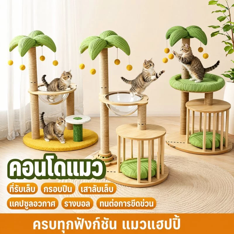 คอนโดแมว ต้นไม้แมว เสาลับเล็บแมว โครงปีนแมว รางบอลแมว แคปซูลแมว ที่นอนแมว แมวหลายตัว