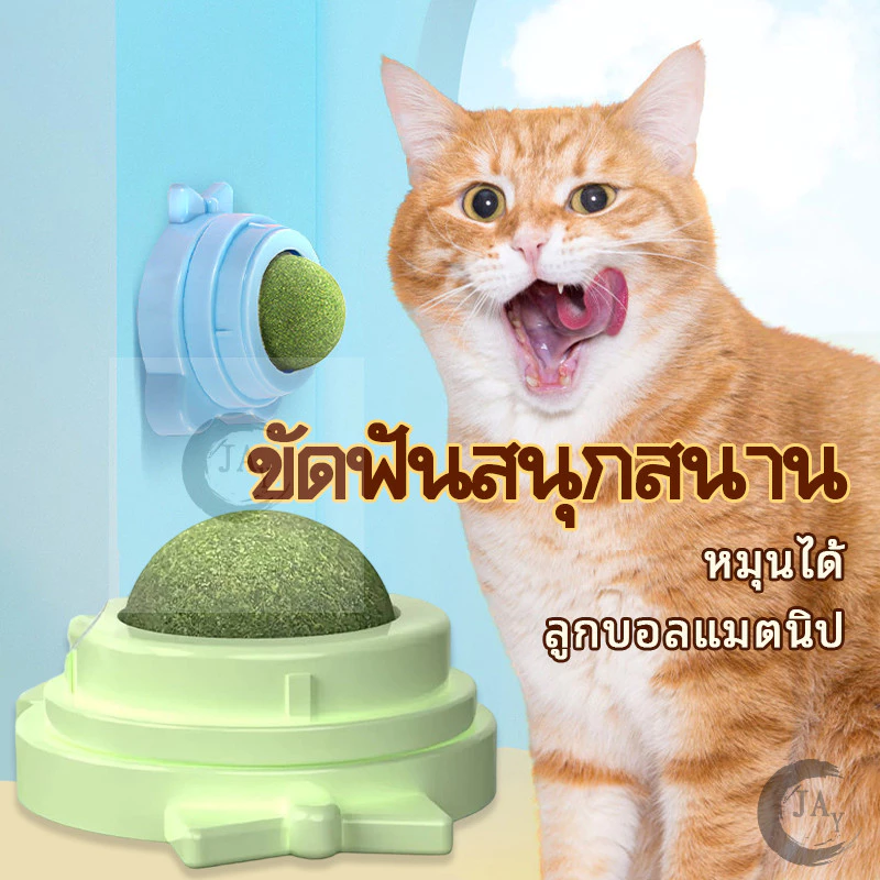 บอลแมวเลียใบแมว แคทนิปบอล บอลแมวเลีย บอลใบแมวติดผนังใช้งานง่าย ไม่หลุด แมวเลียสนุก บรรเทาความเครียด เล่นแก้เบื่อ